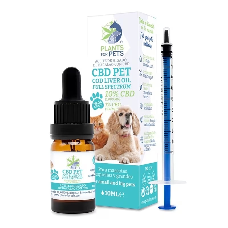 CBD Tieröl 10% mit Dosierspritze für Hunde und Katzen einfache Anwendung Dorschleberöl