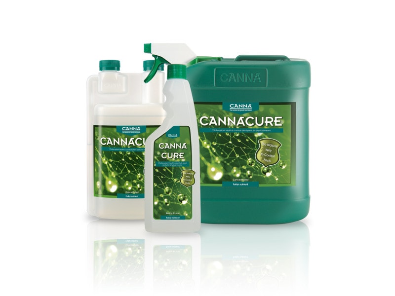 Canna Cure
