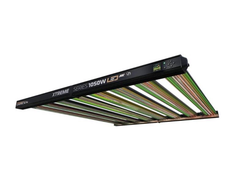 Dimlux Xtreme Series 1050W MKII ION LED Grow Lampe Vollspektrum