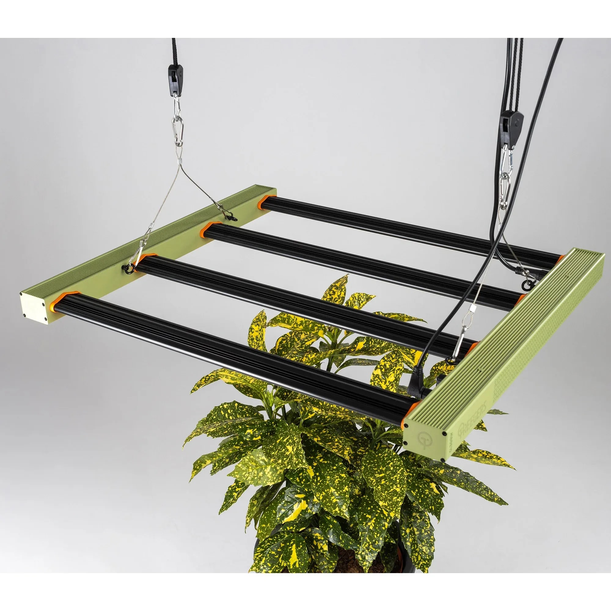 Treegers GL300W LED Grow Lampe 300W Vollspektrum Grow Light für Indoor Anbau mit effizienter LED-Technologie und gleichmäßiger Ausleuchtung