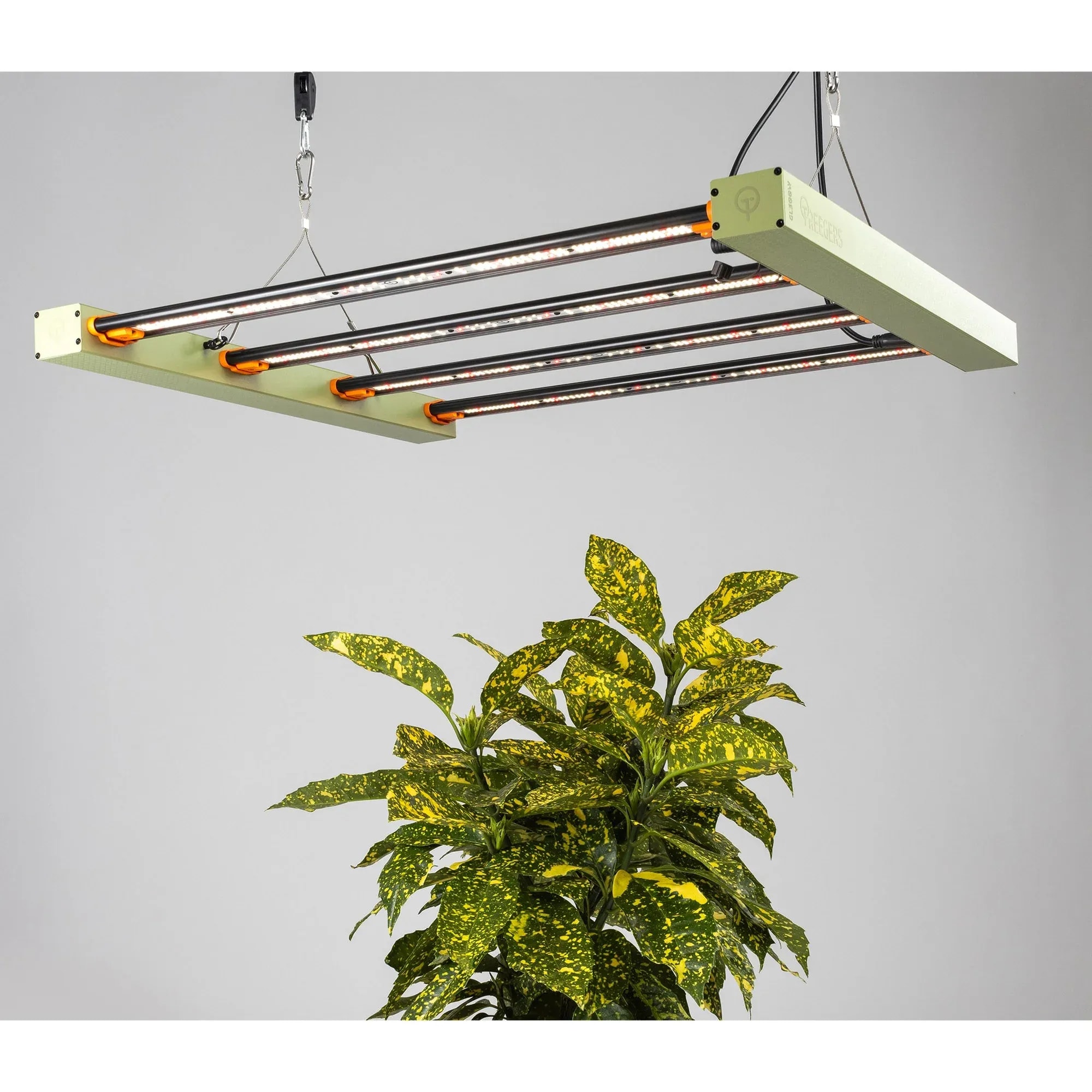 Treegers GL300W LED Grow Lampe 300W Vollspektrum Grow Light für Indoor Anbau mit effizienter LED-Technologie und gleichmäßiger Ausleuchtung