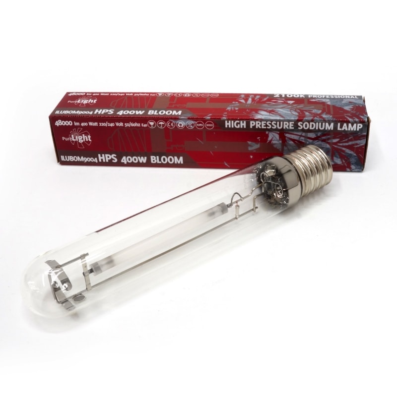 Pure Light HPS Bloom