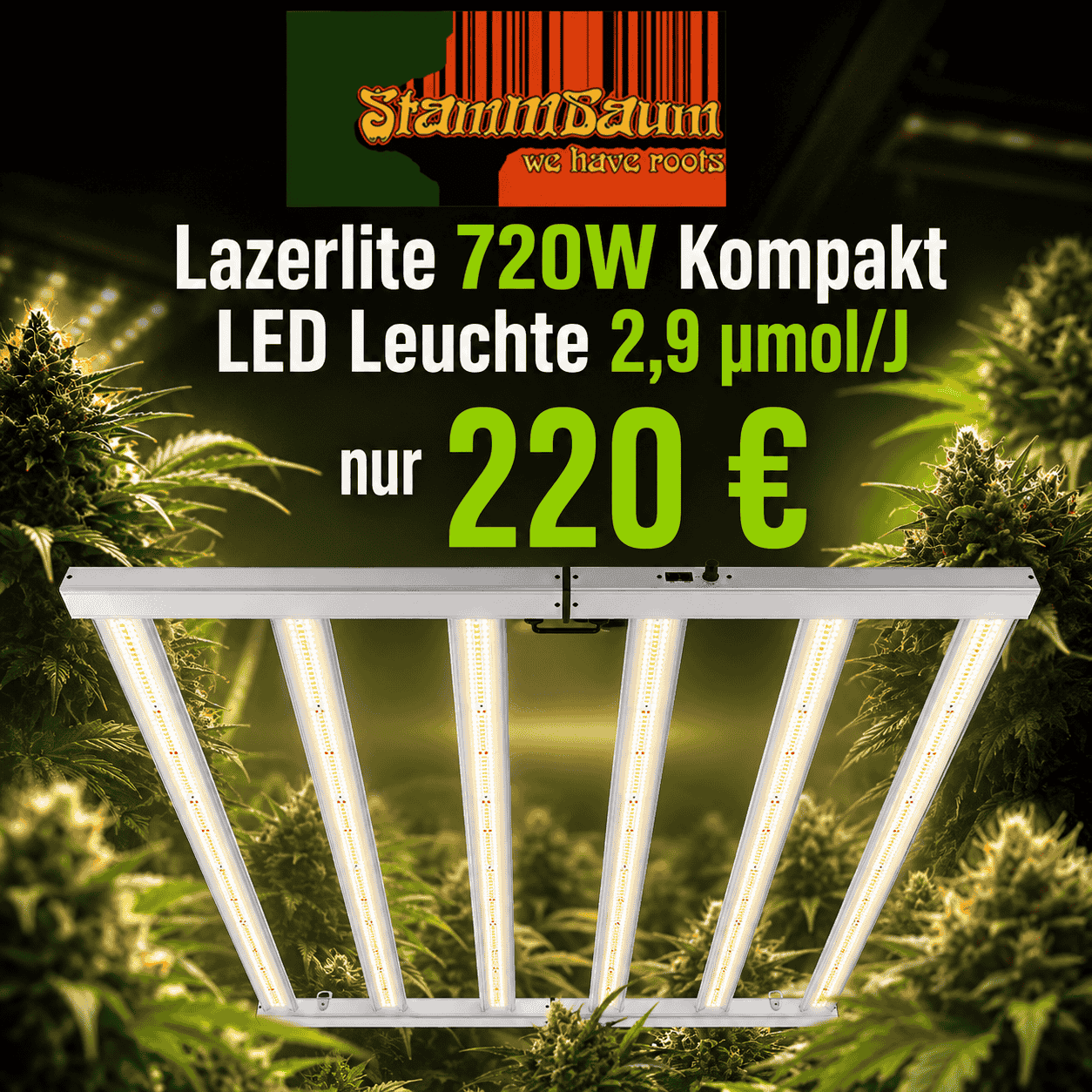 Professionelle LAZERLITE LED KOMPAKT 720W Growleuchte mit hoher Effizienz von 2,9 µmol/J für Indoor-Grows und blühende Pflanzen