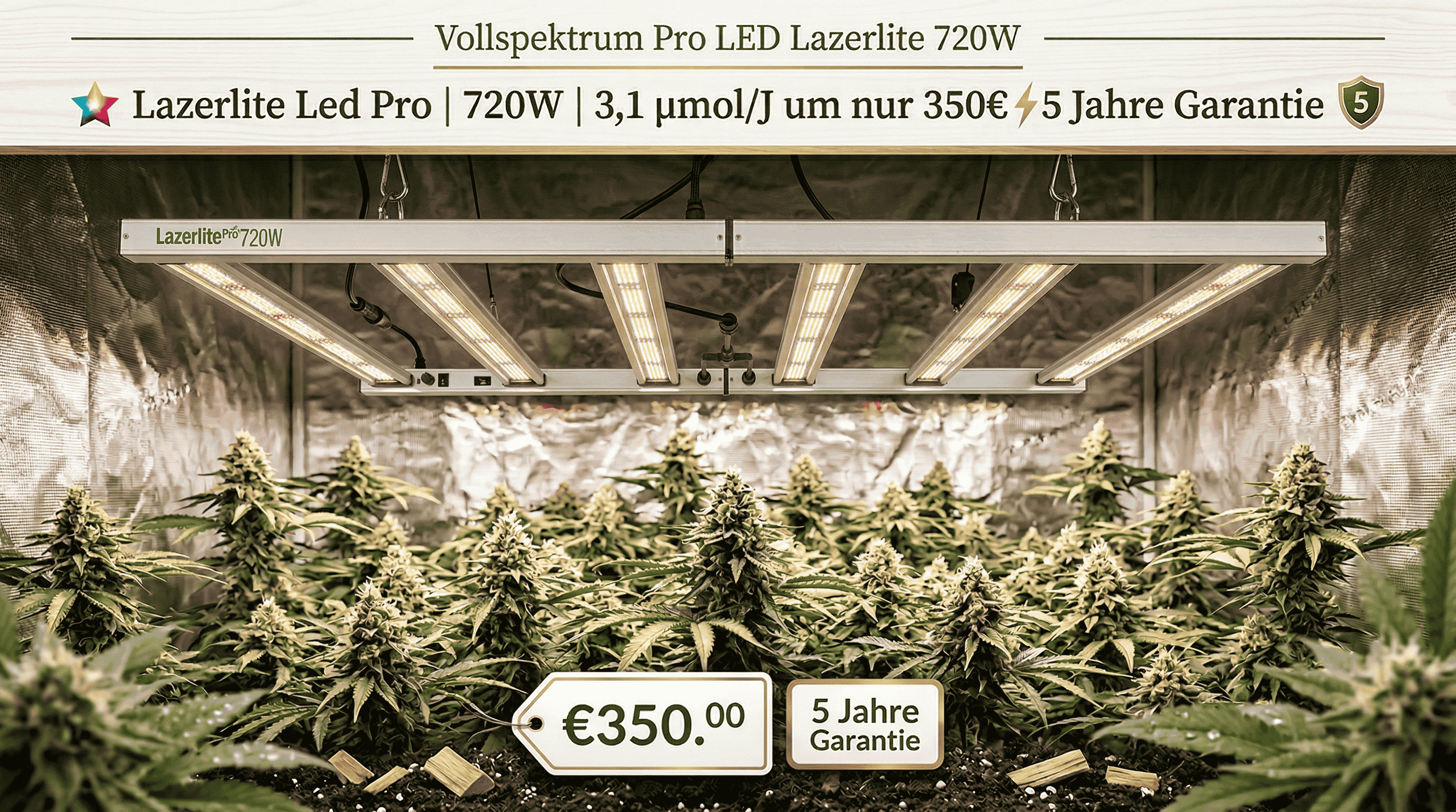 Lazerlite Pro 720W LED – starke Grow Lampe für Indoor-Anwendungen