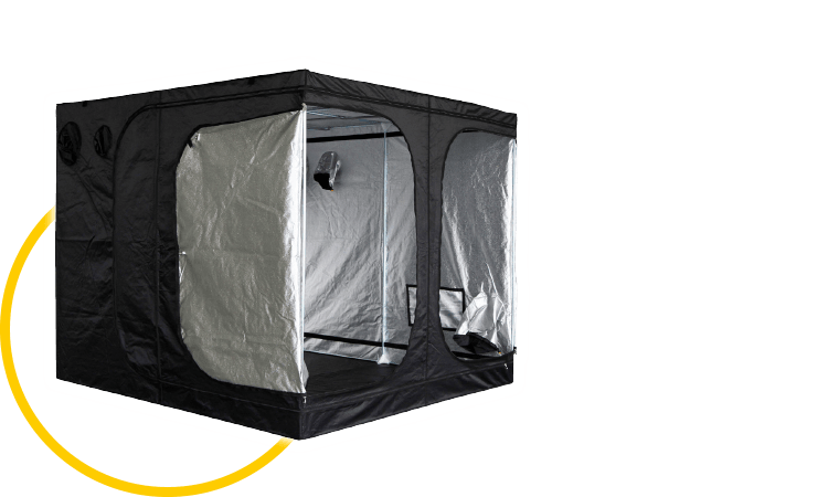 Mammoth Classic+ 240 professionelle Growbox 240x240x200 cm Indoor Zelt