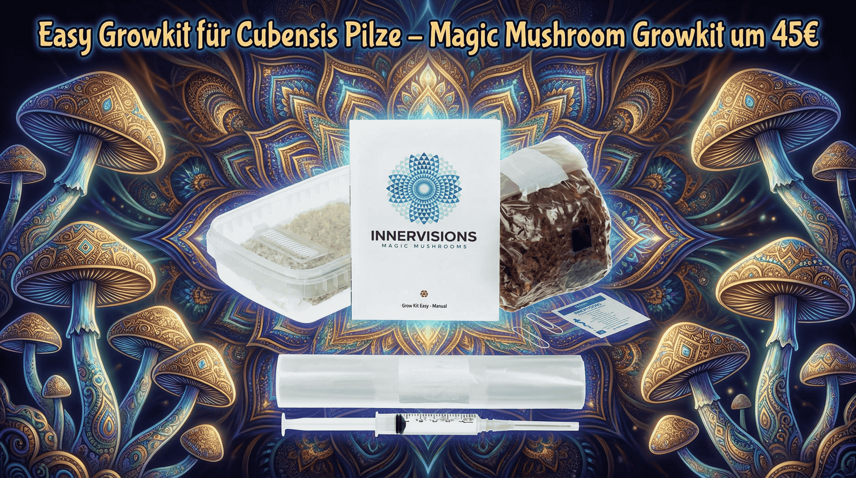 Mykologie Lernset für Pilzmyzel – einfaches Kultivierungsset zur Beobachtung von Pilzwachstum im Indoor-Bereich, ideal für Bildung und Naturinteresse