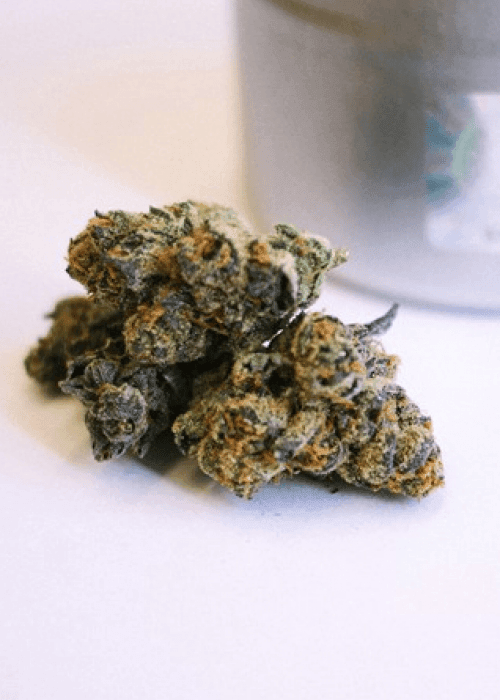 Auto Girl Scout Cookies