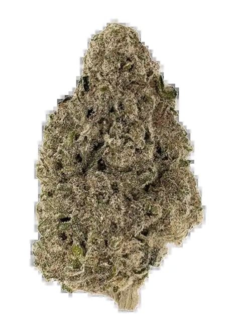 Runtz Cannabis-Sorte mit dichten, bunten Blüten, starkem süß-fruchtigem Bonbon-Aroma und einer dicken Schicht glitzernder Trichome.
