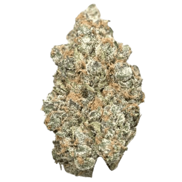 Nahaufnahme einer dichten Super-Boof-Cannabisblüte mit violett-grünen Farbtönen, orangefarbenen Härchen und einer dicken Schicht glitzernder Trichome