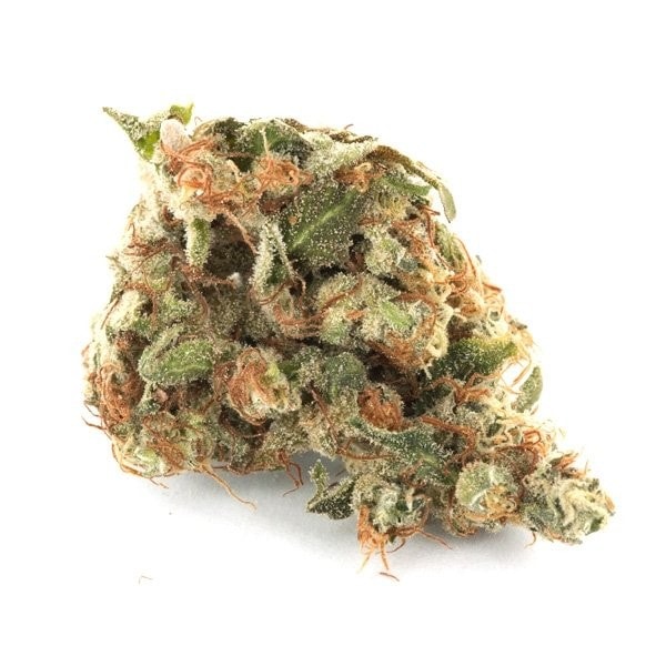 Girl Scout Cookies Cannabis-Sorte mit dichten, harzigen Blüten, süß-erdigem Aroma und stark entspannend-euphorischer Wirkung.